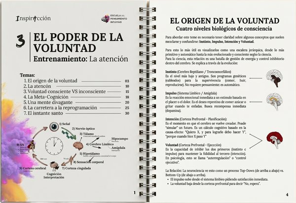 Manual módulo 3 · El poder de la voluntad