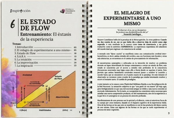 Manual módulo 6 · El estado de flow